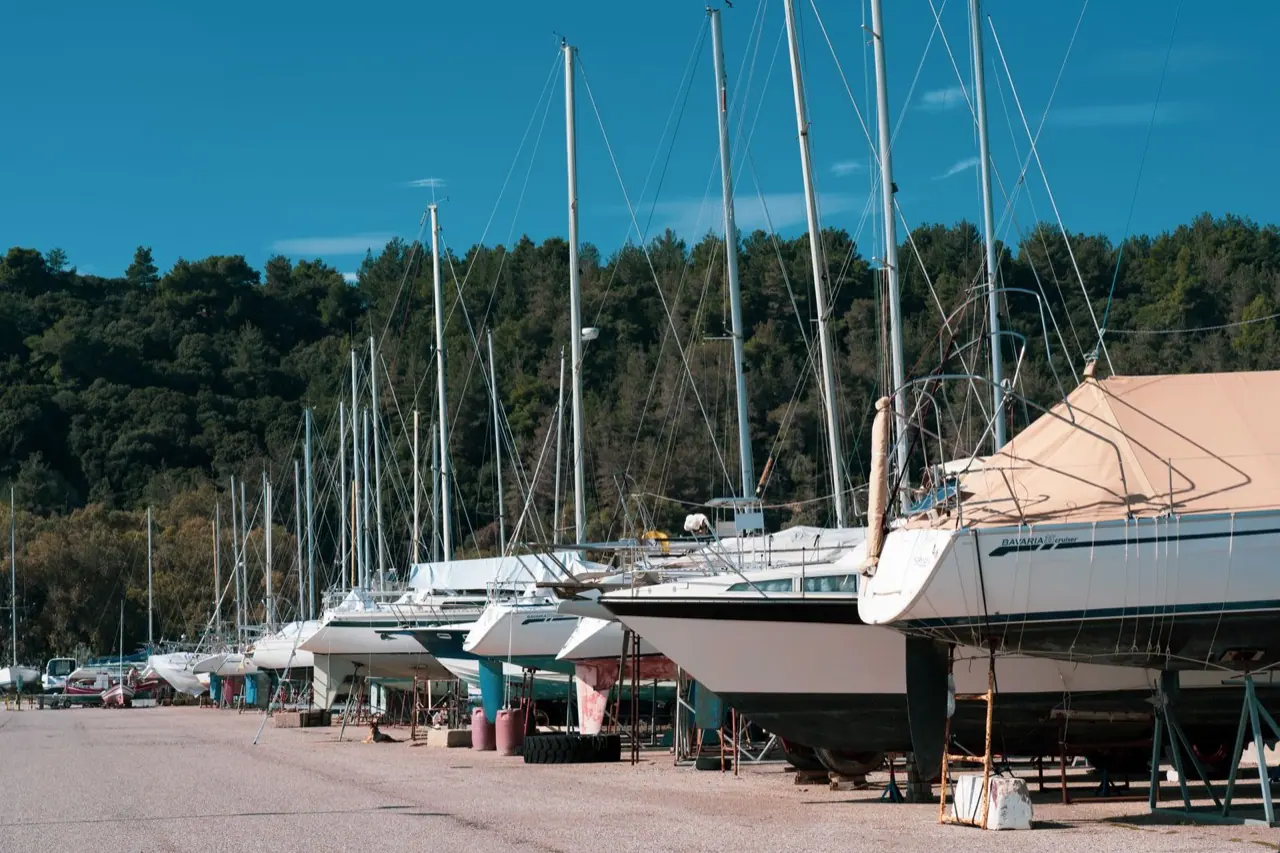 A row of sailboats on the hard in a yard ringed by forest