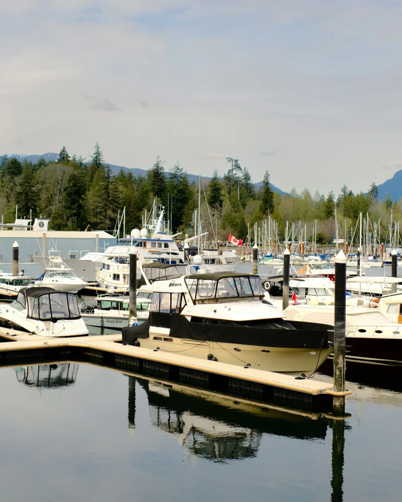 Boats moored at a Vancouver marina with mountains behind